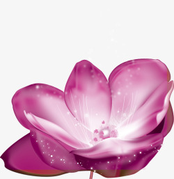 鲜艳开放的紫色花朵白色光点素材