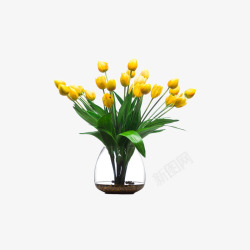 欧美流行插花绿植物鲜花软装素材