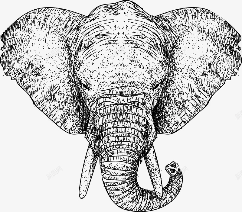 手绘大象头矢量图eps免抠素材_88icon https://88icon.com 大象 大象头 手绘大象 矢量素材 素描大象 矢量图