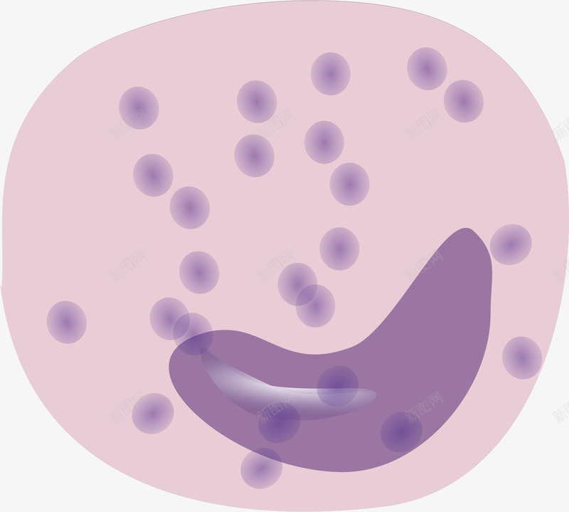 水彩紫色细胞矢量图ai免抠素材_88icon https://88icon.com 创意 卡通 微生物 手绘 水彩 淋巴 生物结构 紫色 细胞 细胞结构 结构细胞 设计 矢量图