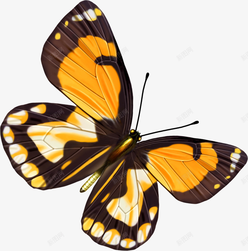 黄色大气蝴蝶美丽png免抠素材_88icon https://88icon.com 大气 美丽 蝴蝶 设计 黄色