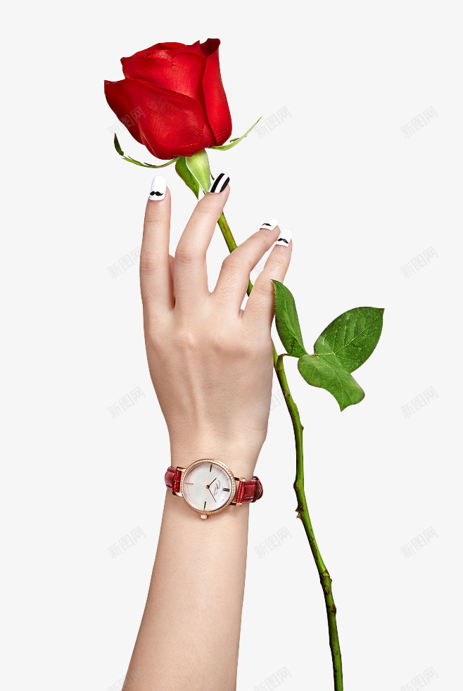 手拿着玫瑰花png免抠素材_88icon https://88icon.com 手 拿着玫瑰花的手 玫瑰 玫瑰花