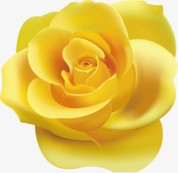 黄色玫瑰矢量图素材
