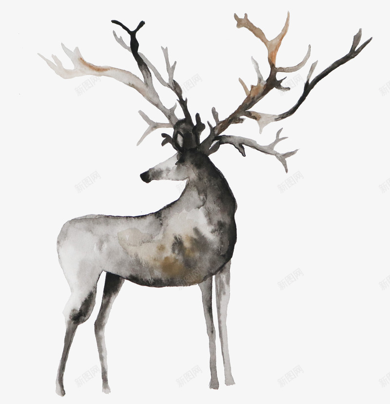 手绘灰色的麋鹿图png免抠素材_88icon https://88icon.com 动物 卡通手绘 宠物 水彩 灰色 鹿角 麋鹿