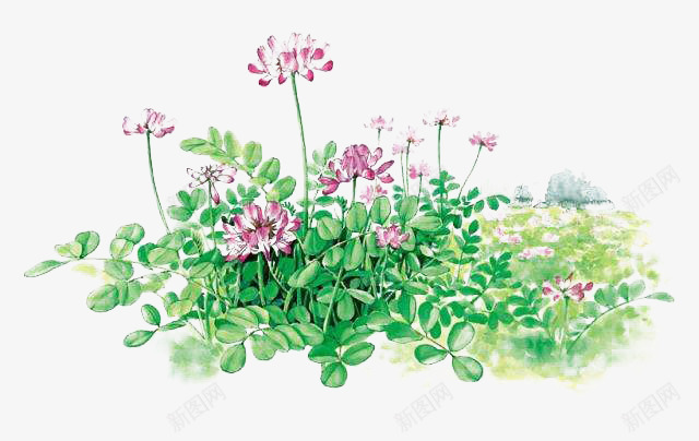 绿草紫云英png免抠素材_88icon https://88icon.com 紫云英 紫色 绿色 风景