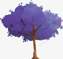 紫色蓝花楹树矢量图素材