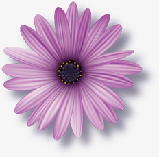 手绘紫色雏菊约会背景素材