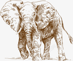 素描大象威猛黄色大象高清图片