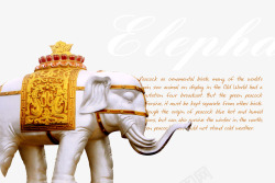 泰国大象花纹背景素材