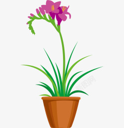 小花盆手绘紫色小花盆裁高清图片