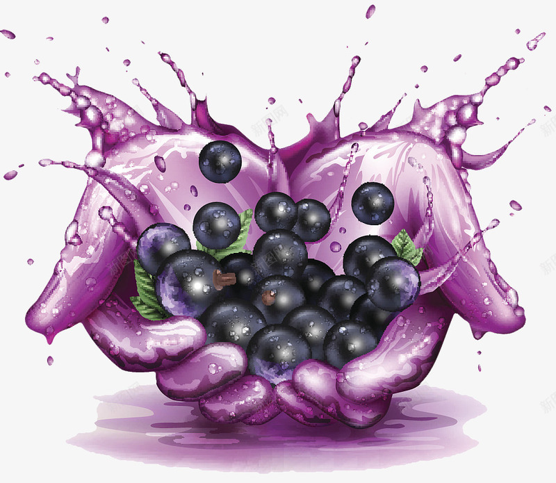 葡萄png免抠素材_88icon https://88icon.com 双手 果汁特效 水果 紫色 飞溅的果汁