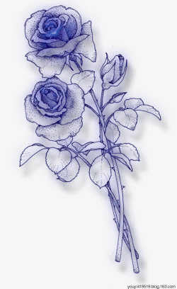 蓝色玫瑰简笔画素材
