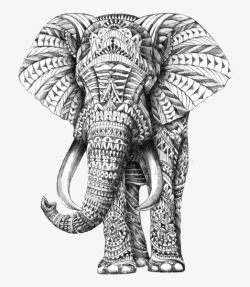 纹理黑白大象素材