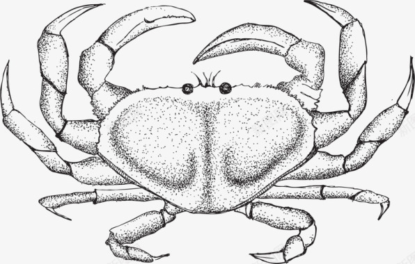 海鲜水产螃蟹矢量图素描灰色螃蟹图标图标
