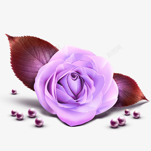 玫瑰珍珠png免抠素材_88icon https://88icon.com 玫瑰 珍珠 紫色 花 花朵