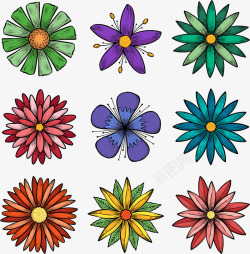 9款手绘花朵矢量图素材
