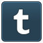tumblr新社交媒体书签图标集图标