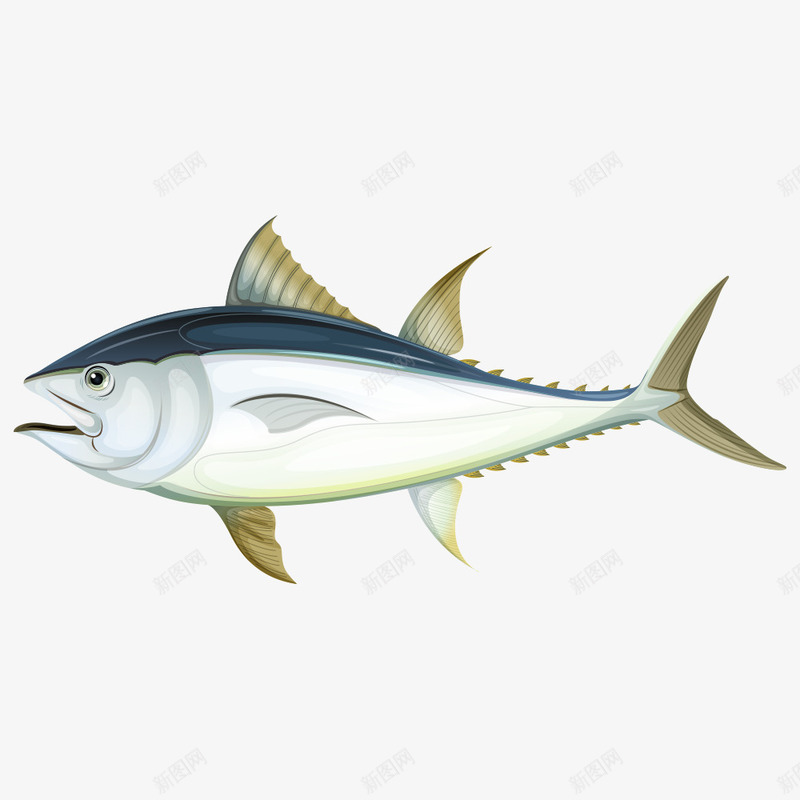 一条灰色鱼png免抠素材_88icon https://88icon.com 卡通鱼 水中生物 海洋生物 海洋鱼 海鱼 矢量鱼 鱼 鱼儿