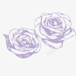 手绘玫瑰花素描矢量图素材