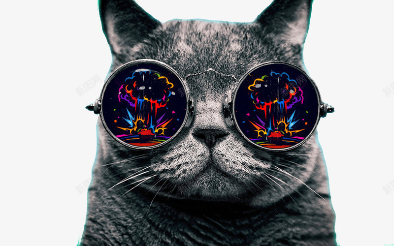 戴眼镜的时尚猫咪png免抠素材_88icon https://88icon.com 元素 彩色 灰色 猫咪 镜片