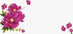 紫色手绘花朵植物花卉素材