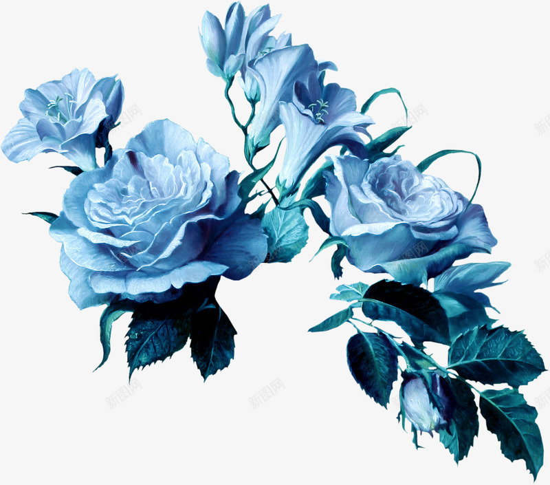 花卉png免抠素材_88icon https://88icon.com 植物 花 花朵 蓝玫瑰 蓝色 鲜花
