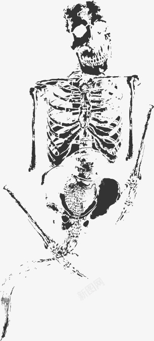 古化石人体骨头png免抠素材_88icon https://88icon.com 古化石 古化石人体骨头 矢量不规则图形