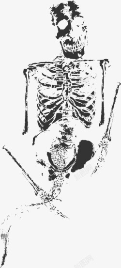 古化石人体骨头素材