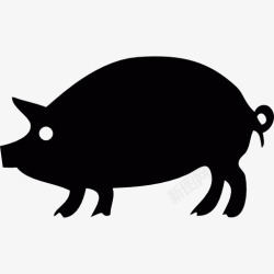 动物农场猪的轮廓图标高清图片