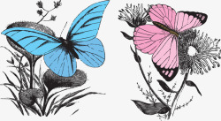 多彩的花蝴蝶矢量图素材