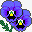 蓝色珠花花园堇型花蓝色图标图标