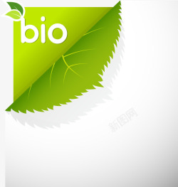 精美边角边框素材