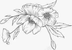手绘花朵写生矢量图素材