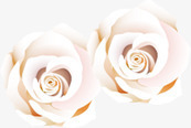 白色纯洁婚礼花朵素材