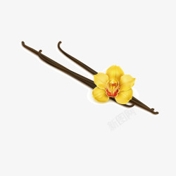 筷子花黄色的花装矢量图素材