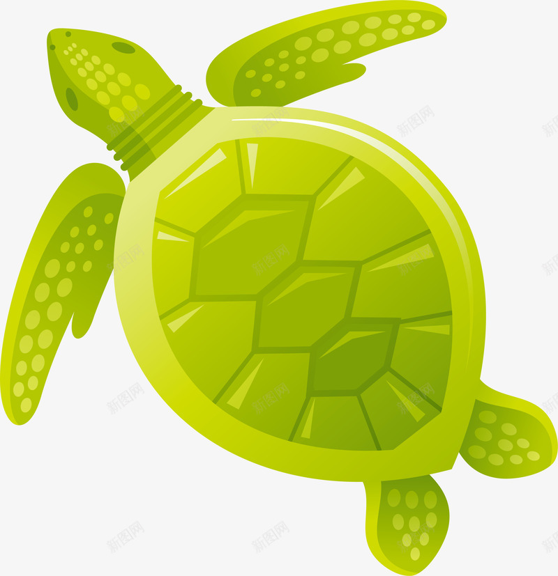 绿色卡通童趣乌龟png免抠素材_88icon https://88icon.com 乌龟 免抠PNG 动物 卡通 海龟 童趣 绿色 装饰图案