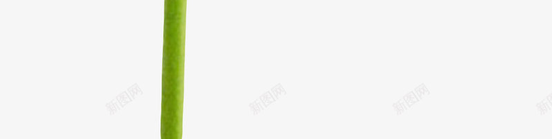 红色有观赏性带花梗的一朵大花实png免抠素材_88icon https://88icon.com 一朵大花 小叶子 植物界 盛开 种类 红色有观赏性带花梗的一朵大花实物免费下载 花冠 花卉 花托 花梗 花萼 草本植物