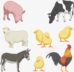 农场的牲畜素材