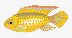 金色鲤鱼矢量图素材