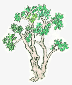 手绘国画绿色树木素材