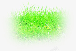绿色清新环保草地户外素材