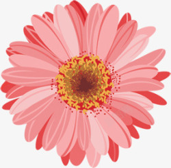 粉色手绘水彩花朵盛开素材