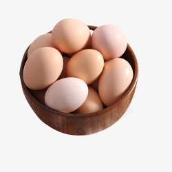 高营养土鸡蛋素材