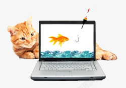 在电脑屏幕里抓鱼的猫素材