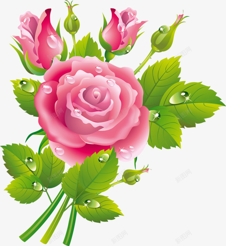 带露珠的玫瑰png免抠素材_88icon https://88icon.com 植物 绿叶 花瓣 鲜花
