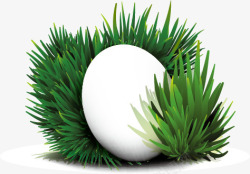绿色草丛中的白色鸡蛋素材