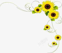 清新黄色向日葵花朵边角装饰素材