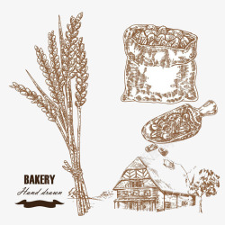 农场麦穗插画素材