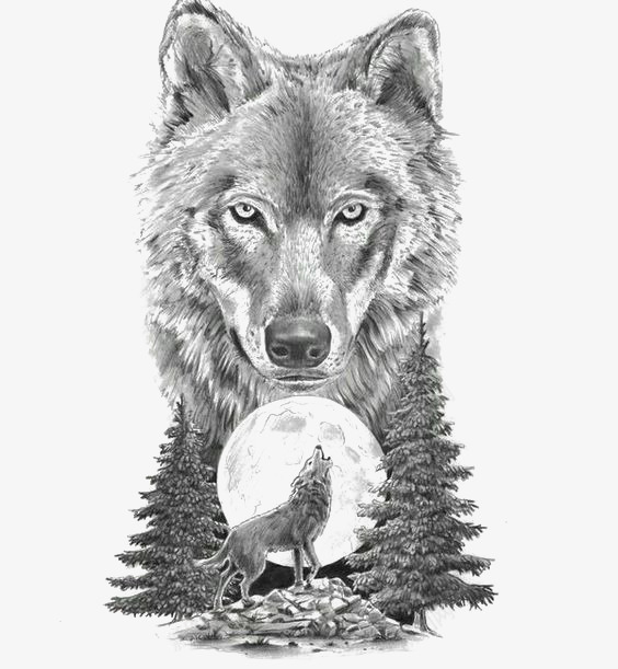 素描动物狼png免抠素材_88icon https://88icon.com 动物 卡通 头狼 手绘 手绘白狼 插画 灰狼 狼嚎 素描 速写 黑白野狼