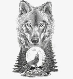 手绘白狼素描动物狼高清图片
